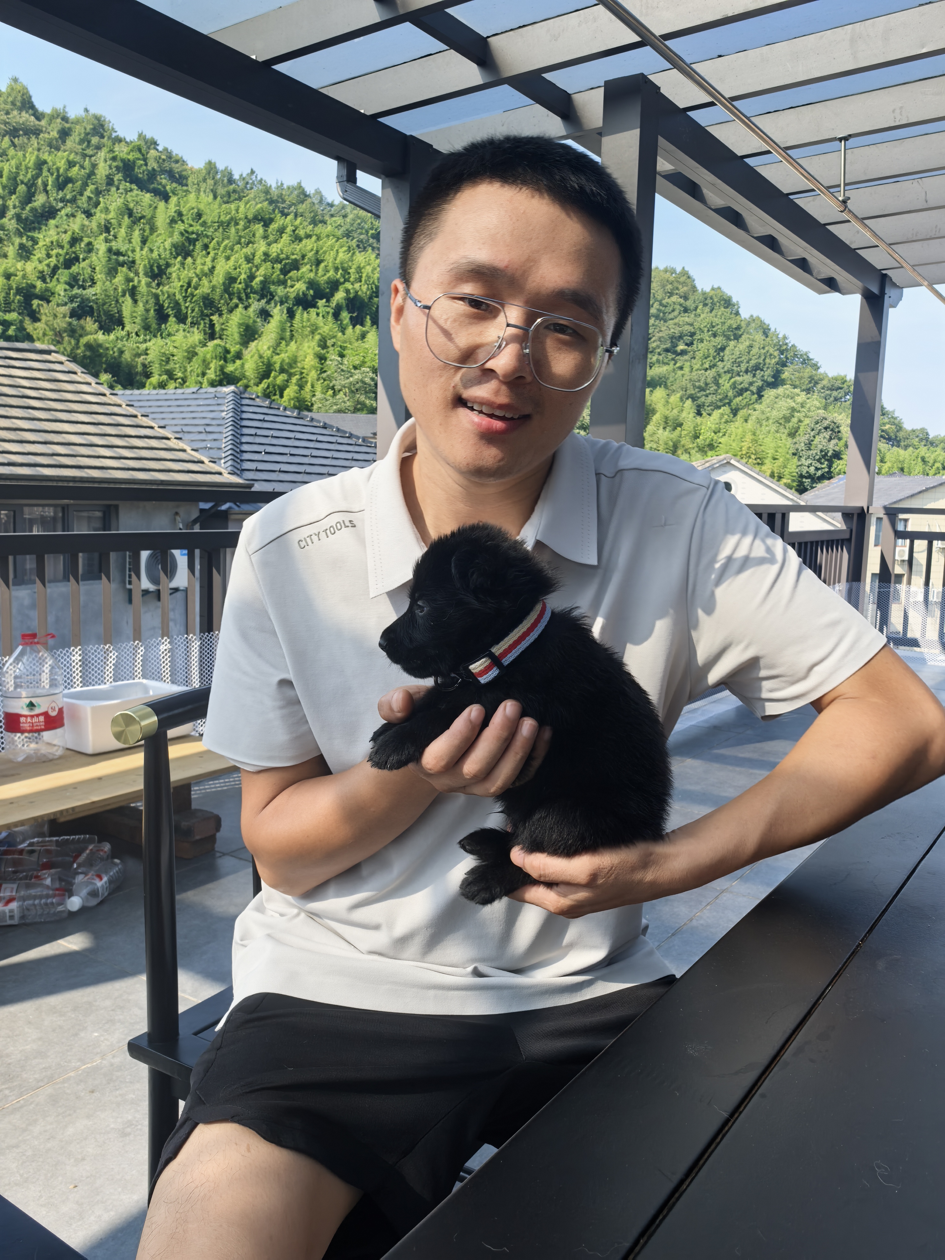 三只双血统东德（带芯片+防丢定位器）
